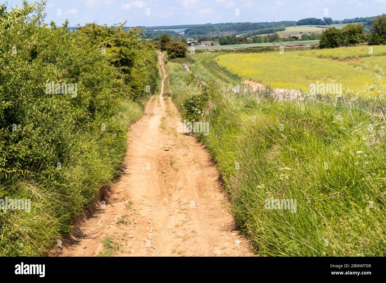 Ryknild Street oder Icknield Street (lokal Condicote Lane) eine römische Straße südlich des Cotswold Dorfes Condicote, Gloucestershire UK Stockfoto