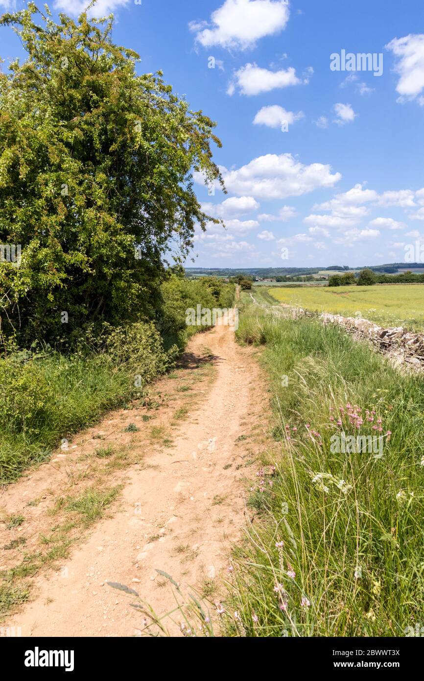 Ryknild Street oder Icknield Street (lokal Condicote Lane) eine römische Straße südlich des Cotswold Dorfes Condicote, Gloucestershire UK Stockfoto