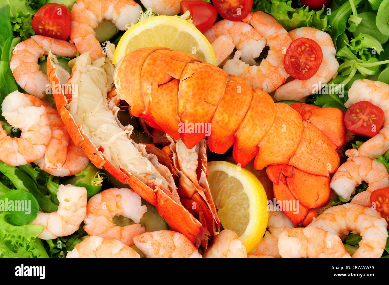 Gekochte Hummerschwänze mit frischem Salat Stockfoto