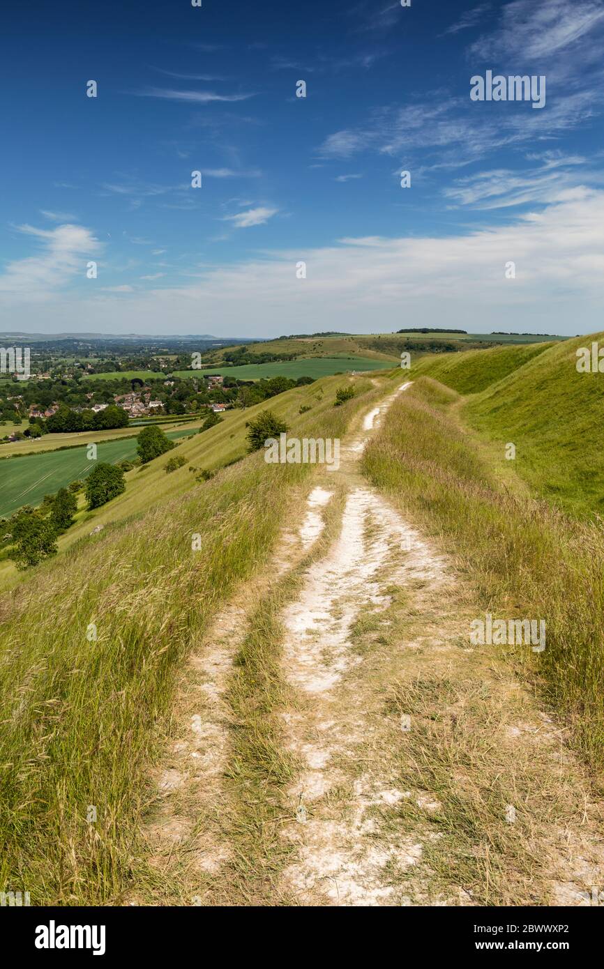 Nahaufnahme einer Kreidespur durch die Kreidewiesen des Westbury White Horse. Mit Ansichten von Bratton im Hintergrund, Wiltshire, England, Großbritannien Stockfoto