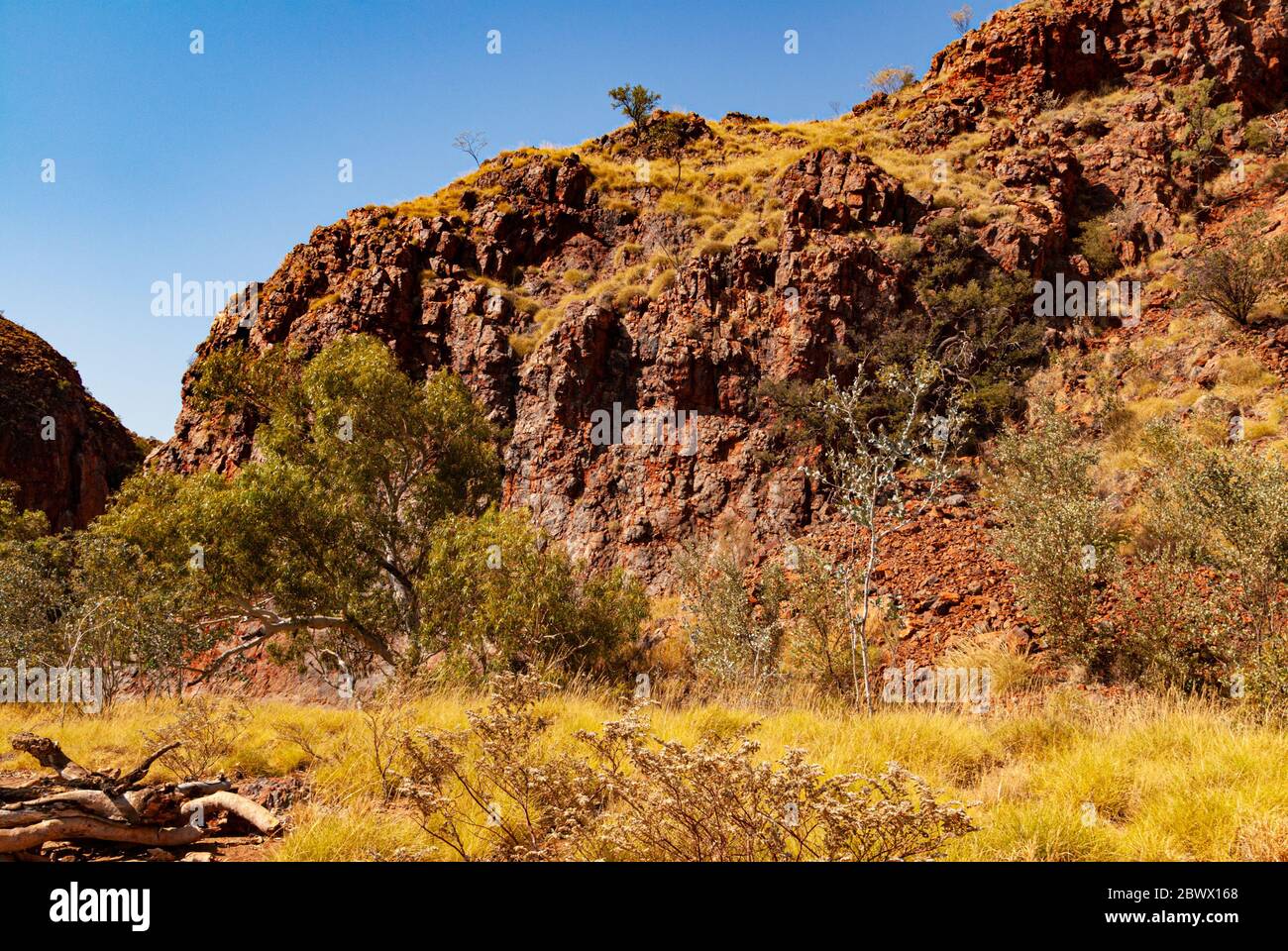 DOOLENA GAP, NR MARBLE BAR, THE PILBARA, WESTERN AUSTRALIA, AUSTRALIEN Stockfoto