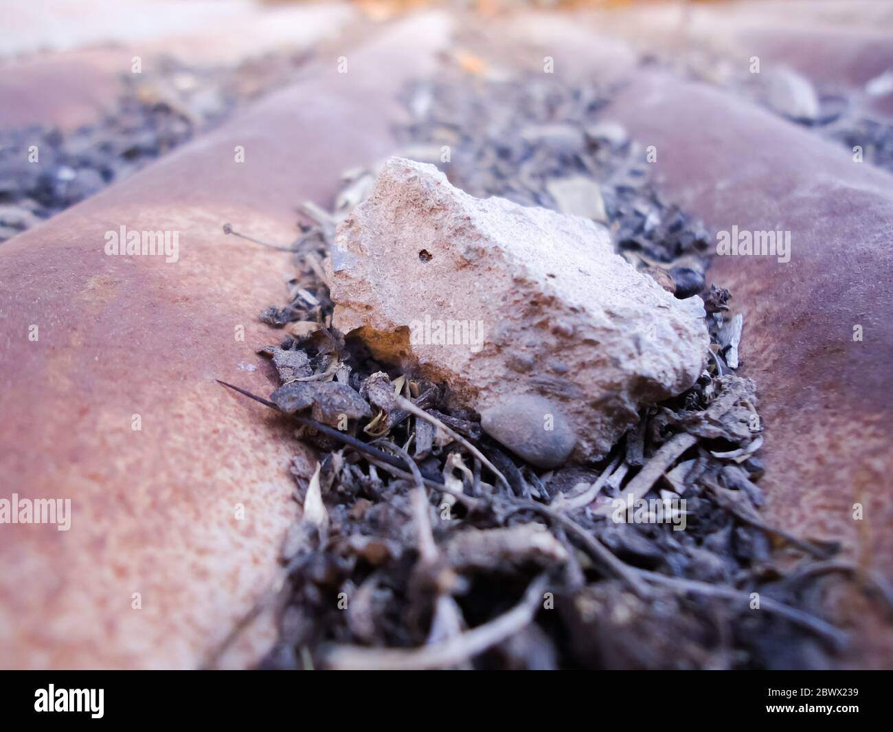 Wellblech und rostig Blech mit Schmutz Stockfoto