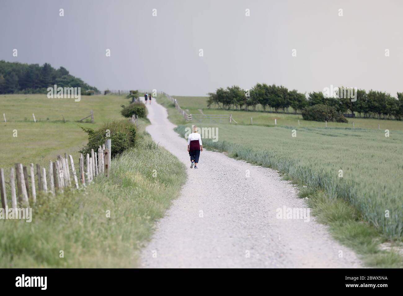 Wanderer auf den South Downs in der Nähe von Ditchling Beacon in East Sussex. 03. Juni 2020. Stockfoto