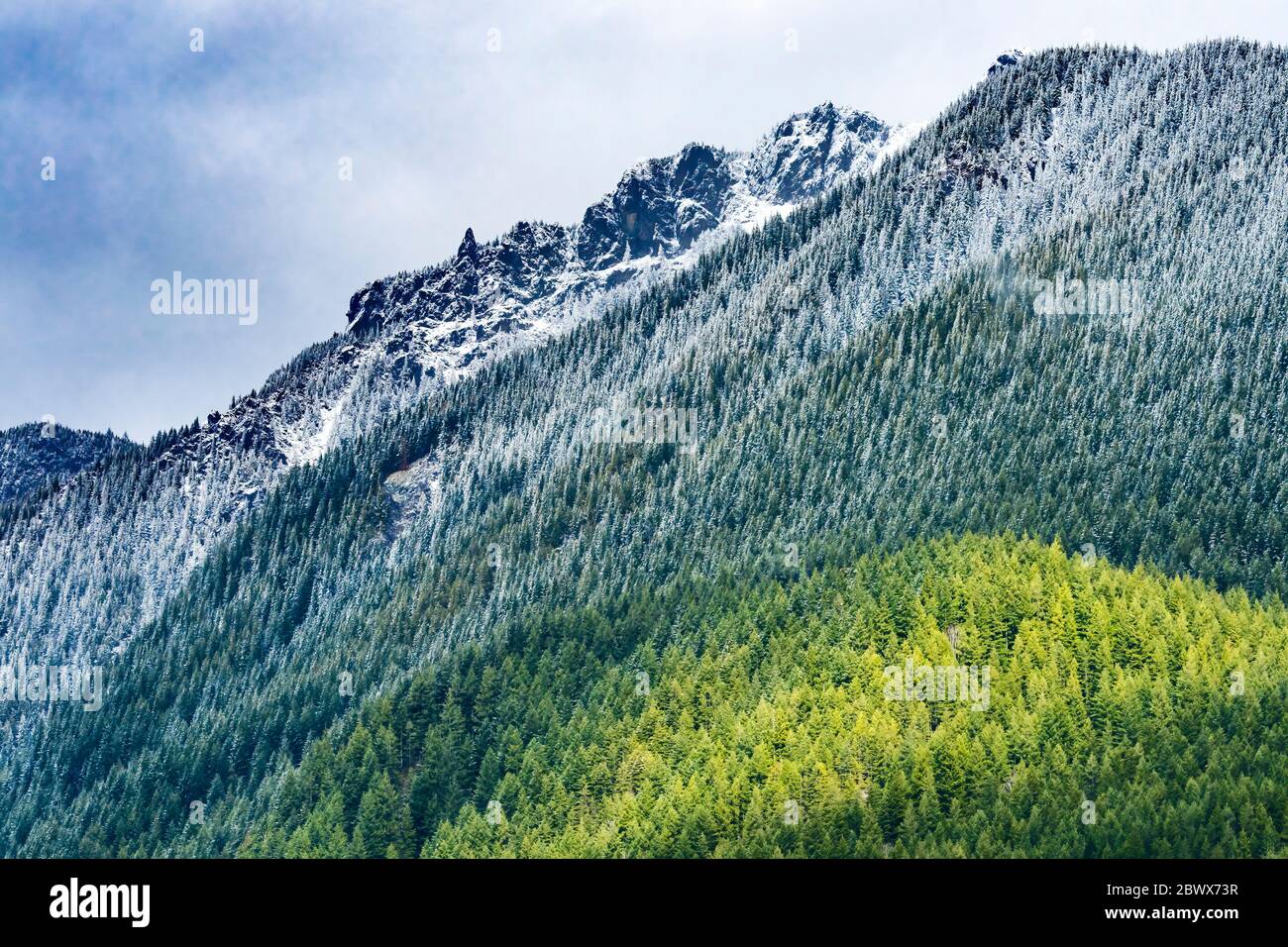 Snow Mount Si, Cascade Range, Evergreen Forest North Bend Washington Stockfoto