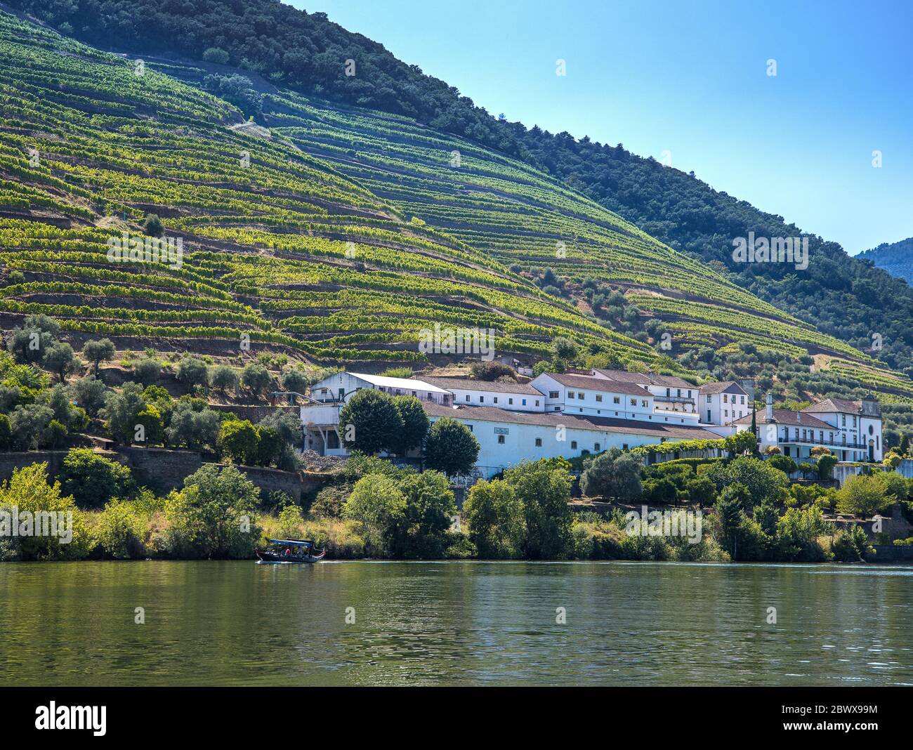Quinta das Carvalhas am Ufer des Douro Flusses, inmitten der terrassenförmig angelegten Hügel mit Weinreben mit Flussfahrt Boot vorbei Pinhão Nord Portugal Stockfoto