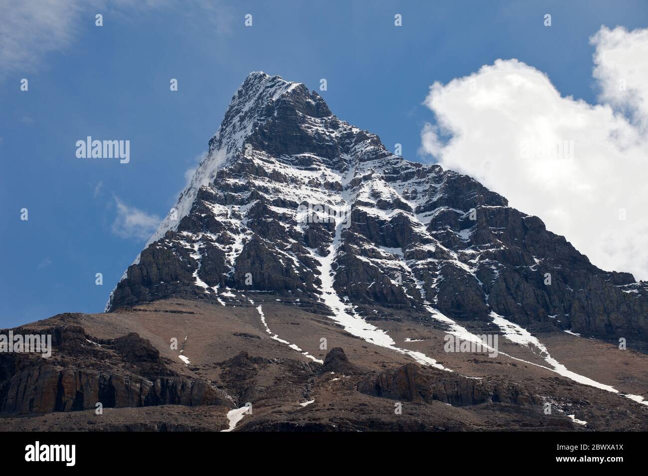 Mount Robson vom Berg Lake Trail Stockfoto