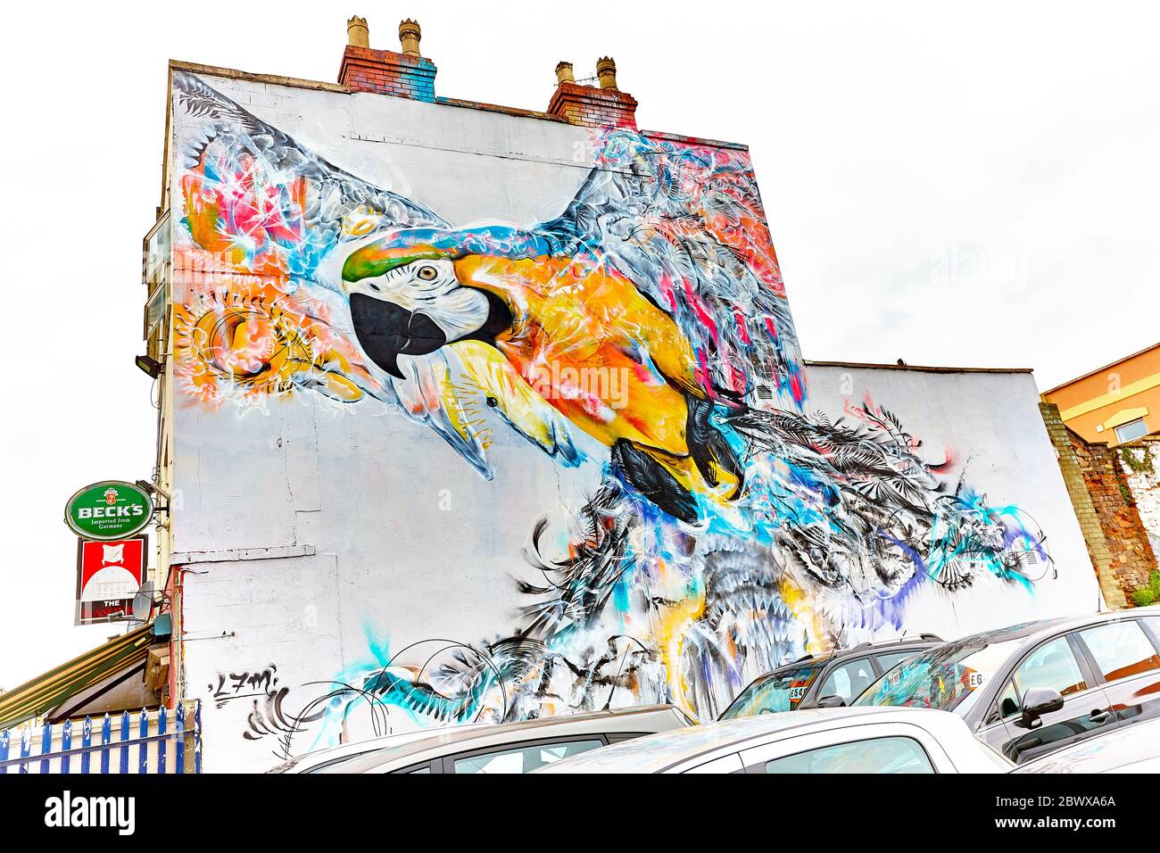 Blue Parrot Wall Mural in Bristol, Großbritannien, England Stockfoto