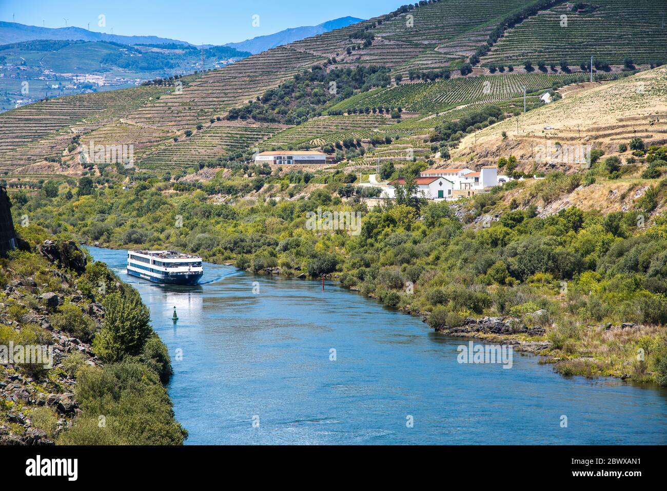 Flusskreuzfahrtschiff im Tal, umgeben von terrassenförmigen Weinbergen entlang des Douro Flusses Portugal Stockfoto