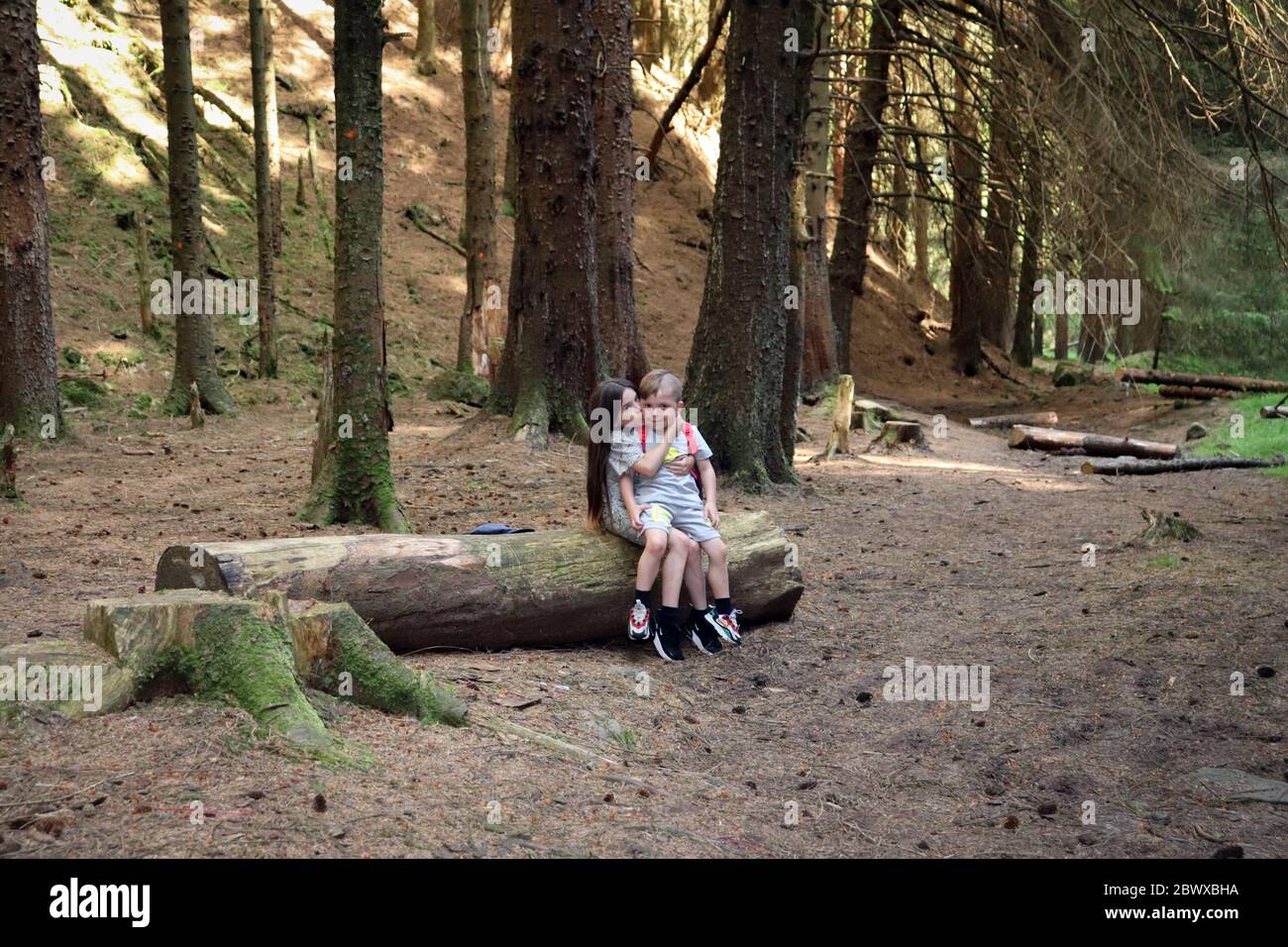 Kinder erkunden Wald in Großbritannien Stockfoto