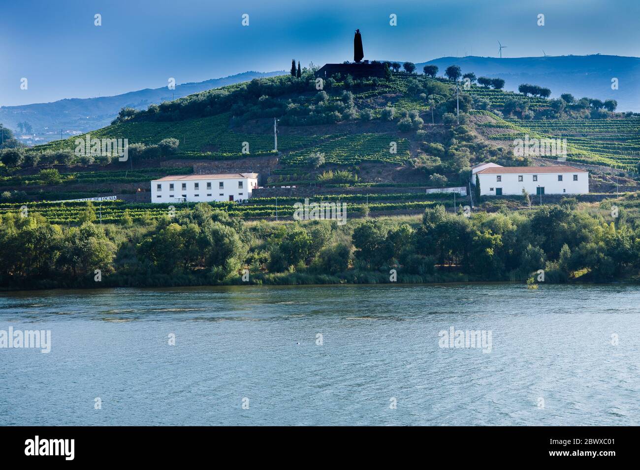 Die Weinberge des Douro Valley und der ironisch gekleidete Mann namens Don, der auf einem Hügel auf einem portugiesischen Studentencape mit Blick auf den Fluss von Régua Portugal gekleidet ist Stockfoto