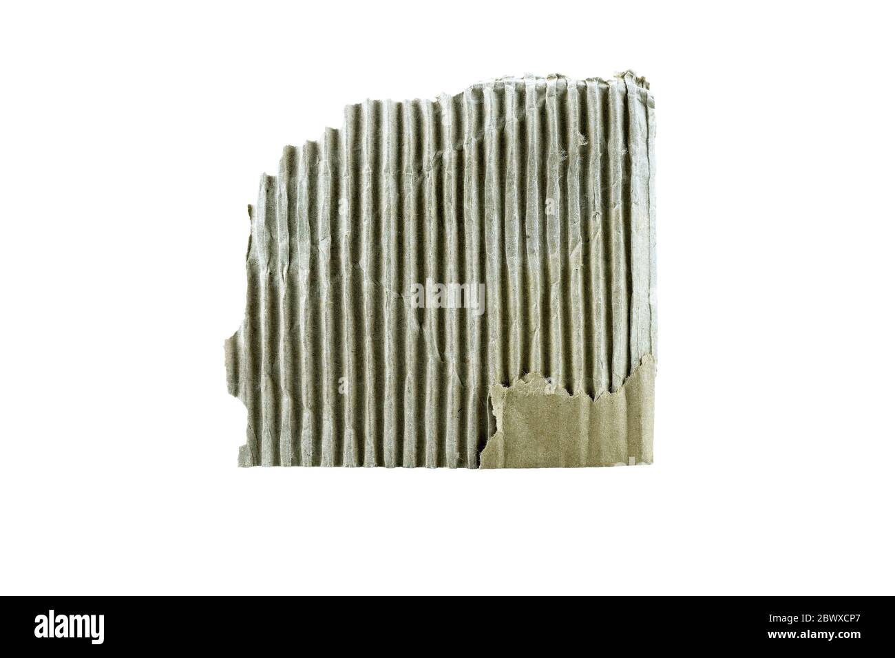 Zerrissenes Kartonstück isoliert auf weißem Hintergrund. Stockfoto