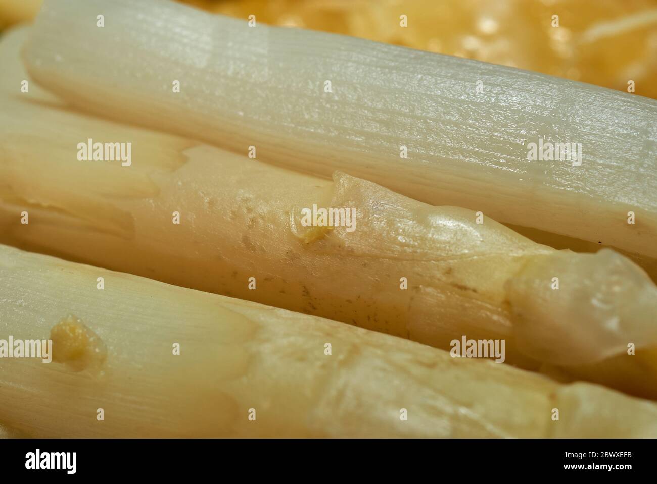 Nahaufnahme von gekochtem weißen deutschen Spargel Stockfoto