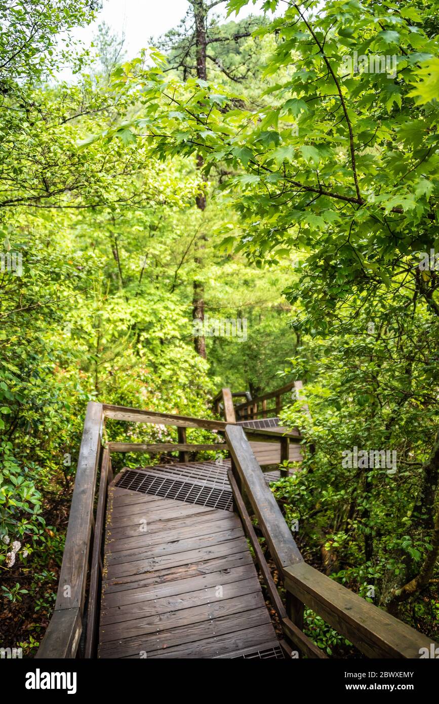 Treppenabfahrt in Tallulah Gorge, eine 1000 Meter tiefe Schlucht, die vom Tallulah River geformt wird, im Tallulah Gorge State Park in der Nähe von Tallulah Falls, Georgia. Stockfoto