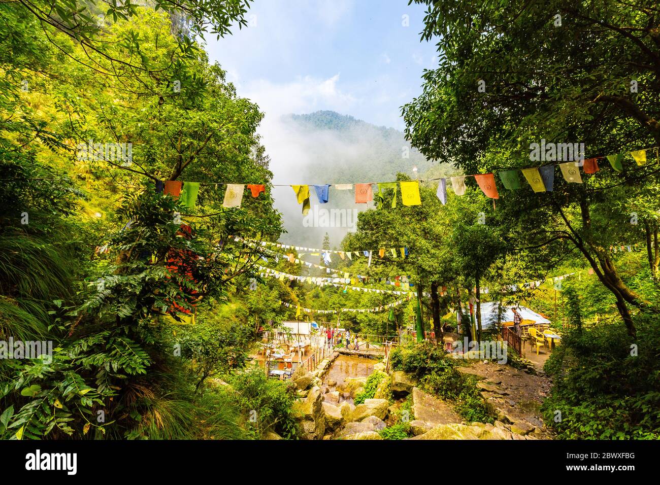 Dalhousie Himachal Pradesh - eine abstrakte Sicht auf die natürliche Schönheit rund um Dalhousie, Himachal Pradesh, Indien, Asien. Naturfotografie in Indien. Stockfoto