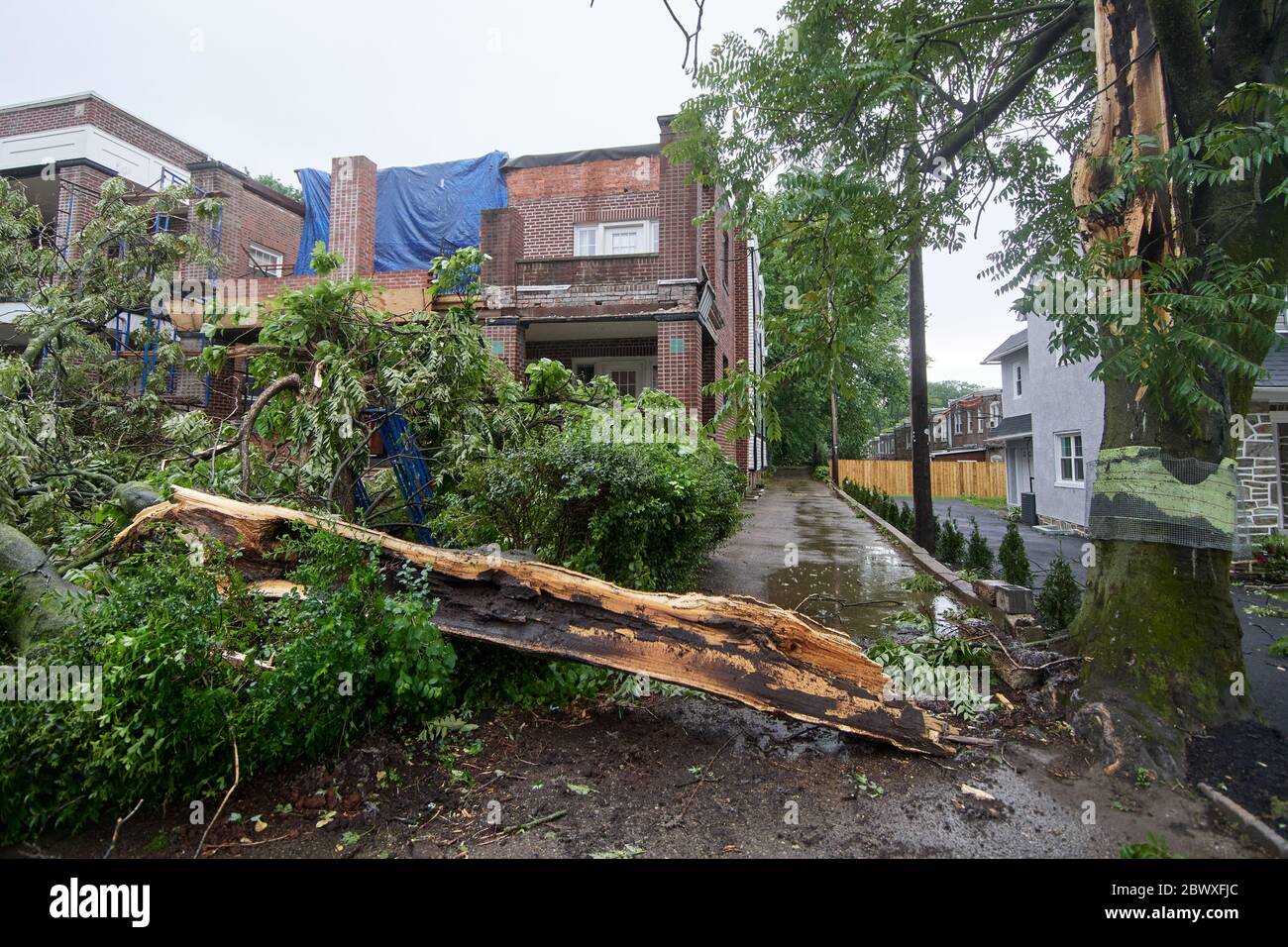 Philadelphia, Usa. Juni 2020. Gefallene Äste lagen am 3. Juni 2020 vor einem kürzlich beschädigten Wohnhaus im West Mount Airy-Viertel im Nordwesten von Philadelphia, PA, auf dem Boden. Entwurzelte Bäume und heruntergestürzte Versorgungsleitungen werden gemeldet, da sich kurzzeitig ein Unwettersystem durch die Region bewegt. Kredit: OOgImages/Alamy Live News Stockfoto