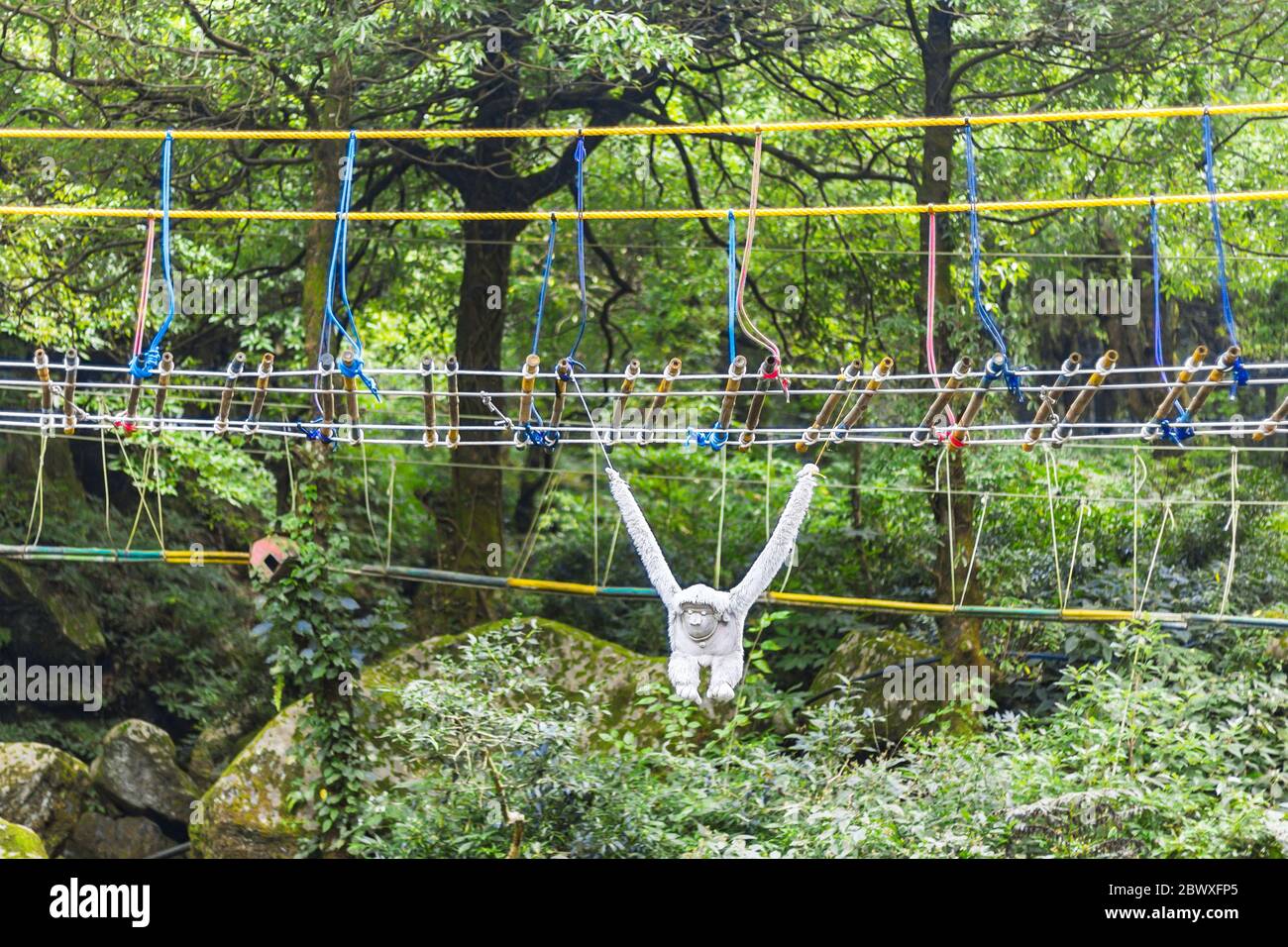 Dalhousie Himachal Pradesh - eine abstrakte Sicht auf die natürliche Schönheit rund um Dalhousie, Himachal Pradesh, Indien, Asien. Naturfotografie in Indien. Stockfoto