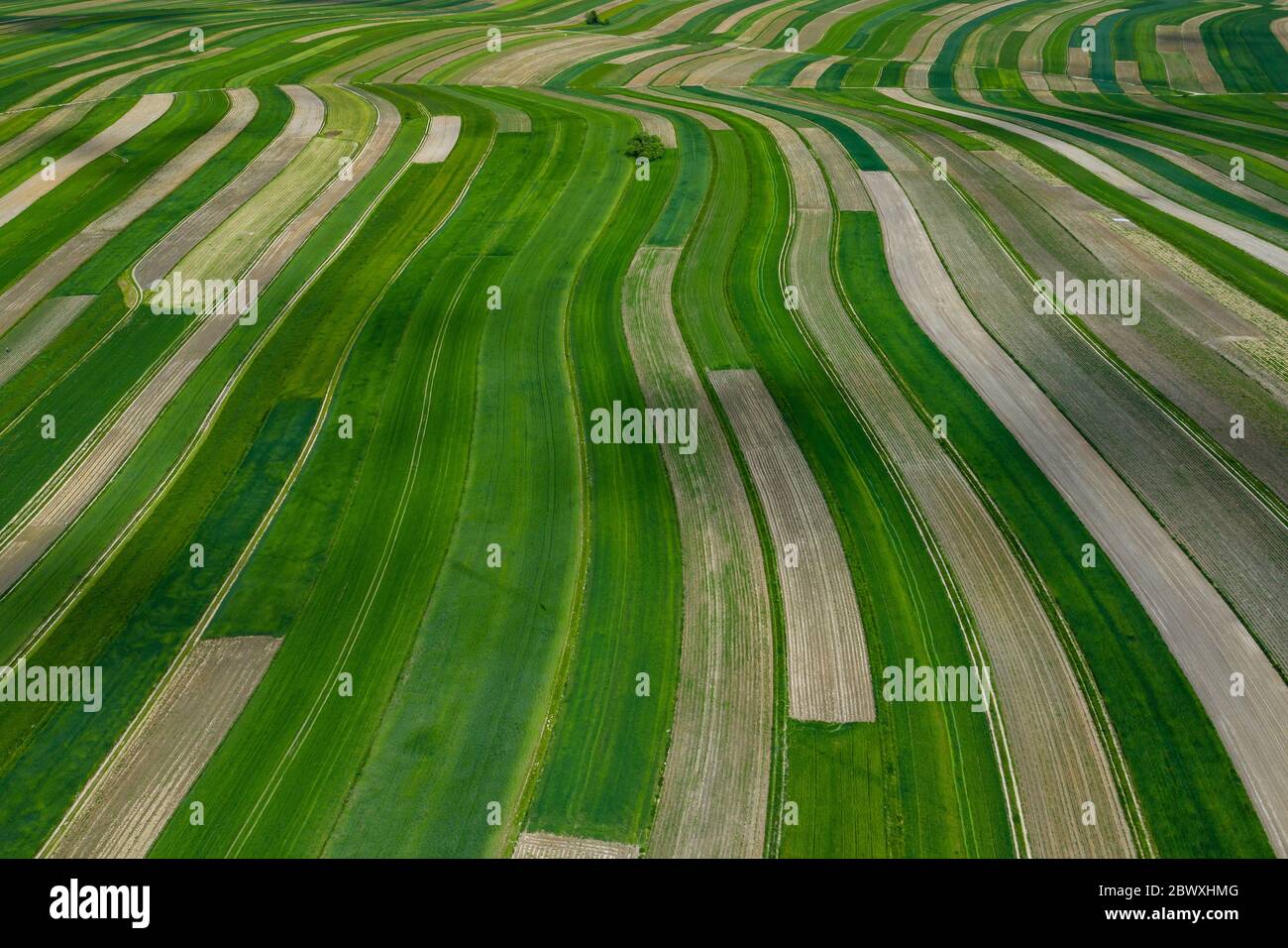 Polen von oben. Luftaufnahme von grünen landwirtschaftlichen Feldern und Dorf. Landschaft mit Feldern von Polen. Typische polnische Landschaft. Stockfoto