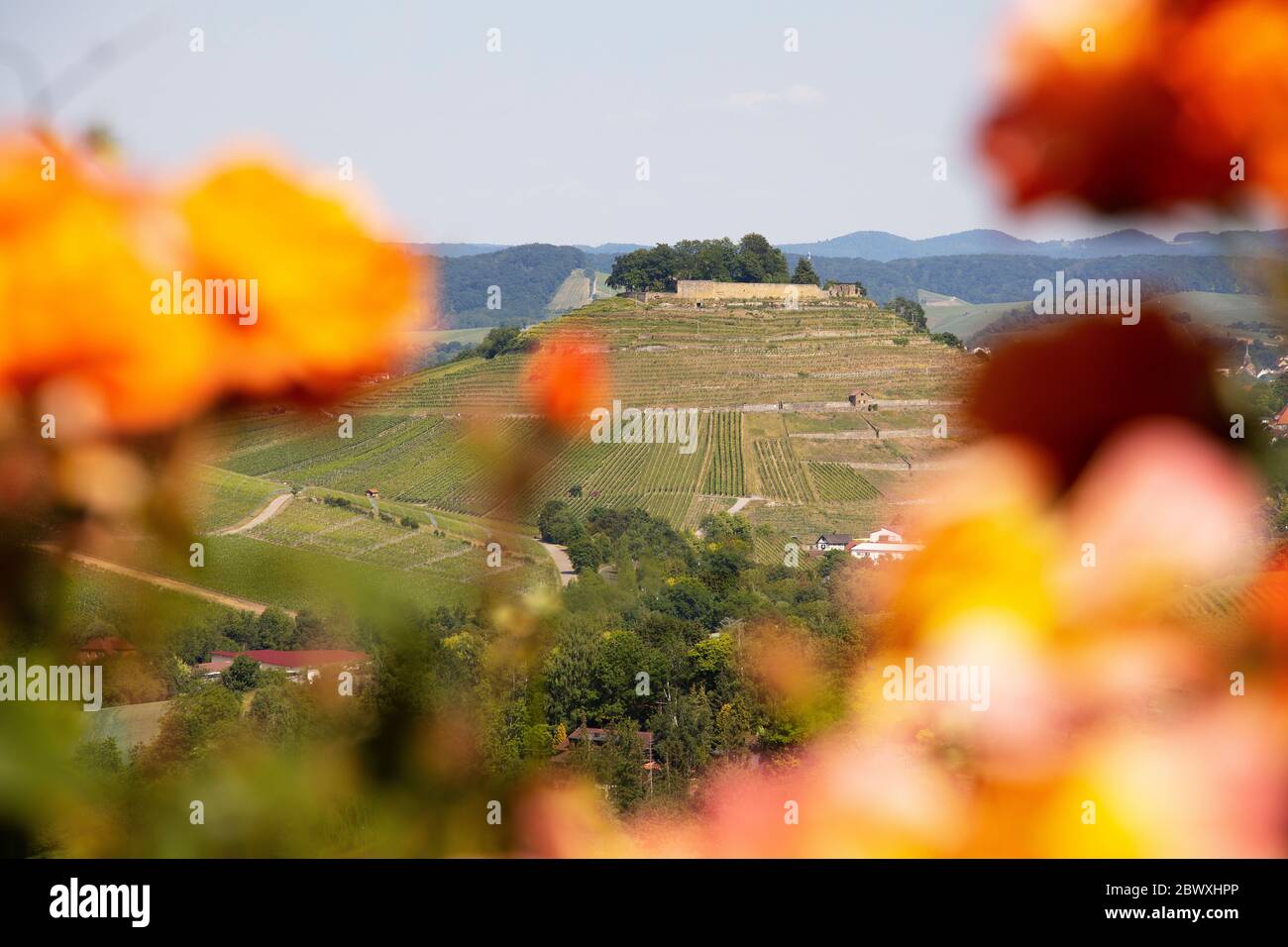 Schloss Weibertreu in Weinsberg. Blick vom Wartberg Heilbronn, Baden-Württemberg, Deutschland Stockfoto