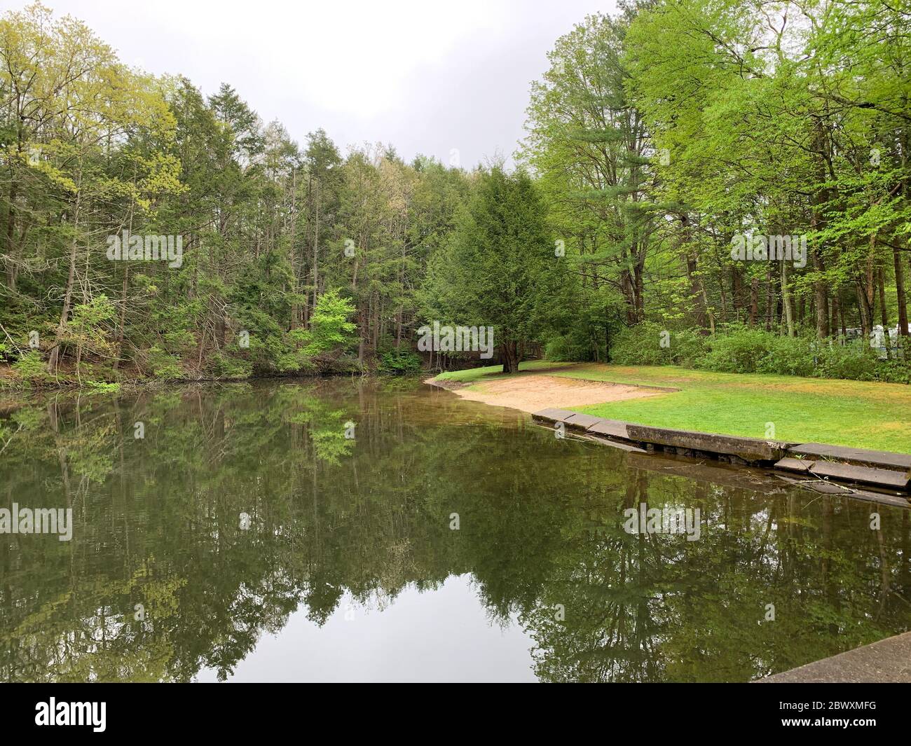 Kleiner Teich umgeben von vielen Arten von Bäumen. Am Teich ist ein kleiner Sandbereich und Gras. Stockfoto