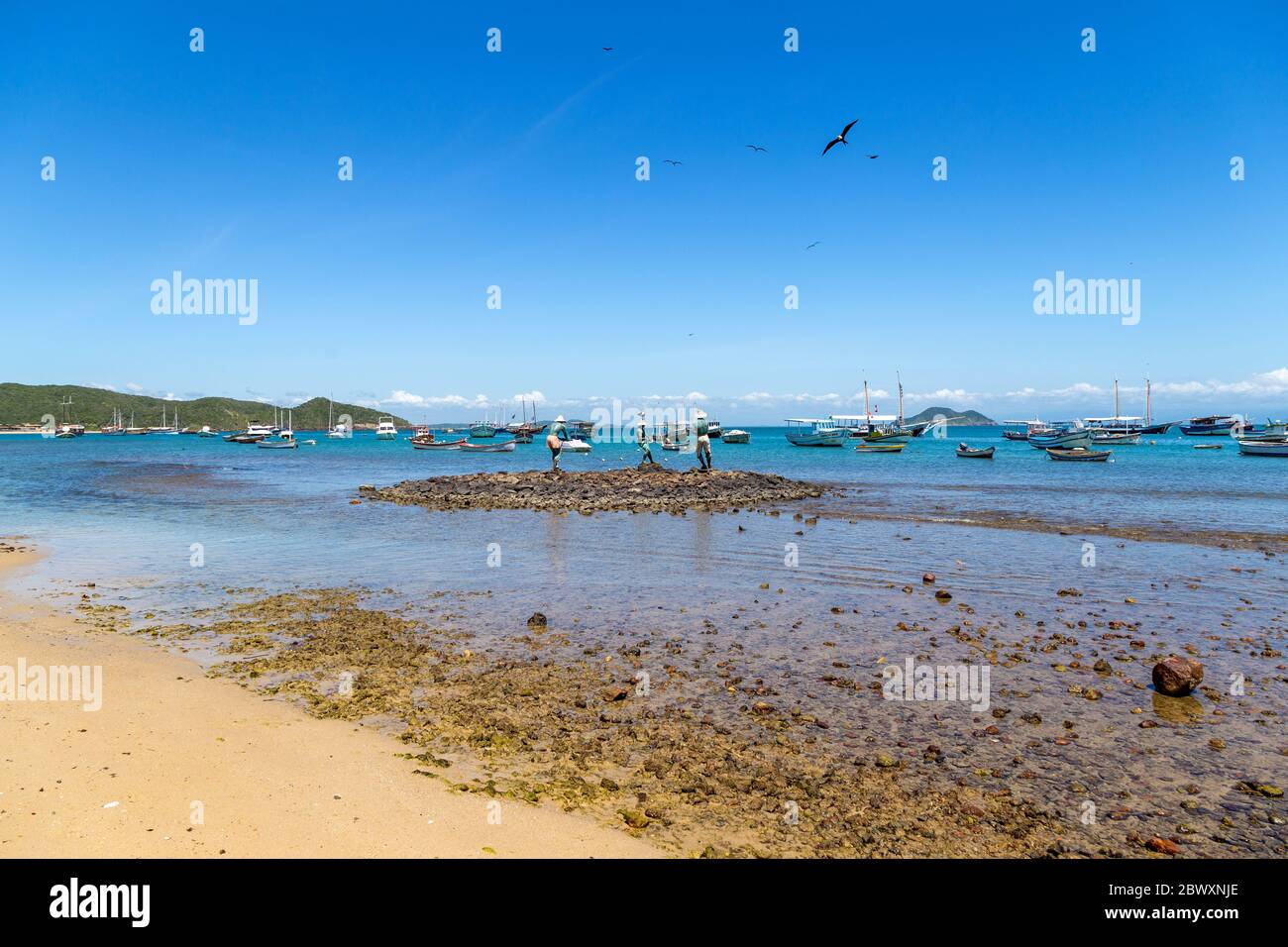 BUZIOS, BRASILIEN. Panoramablick auf die Bucht von Armacao und die Bronzeskulptur drei Fischer. Viele und bunte Boote ankern im Meer. Stockfoto
