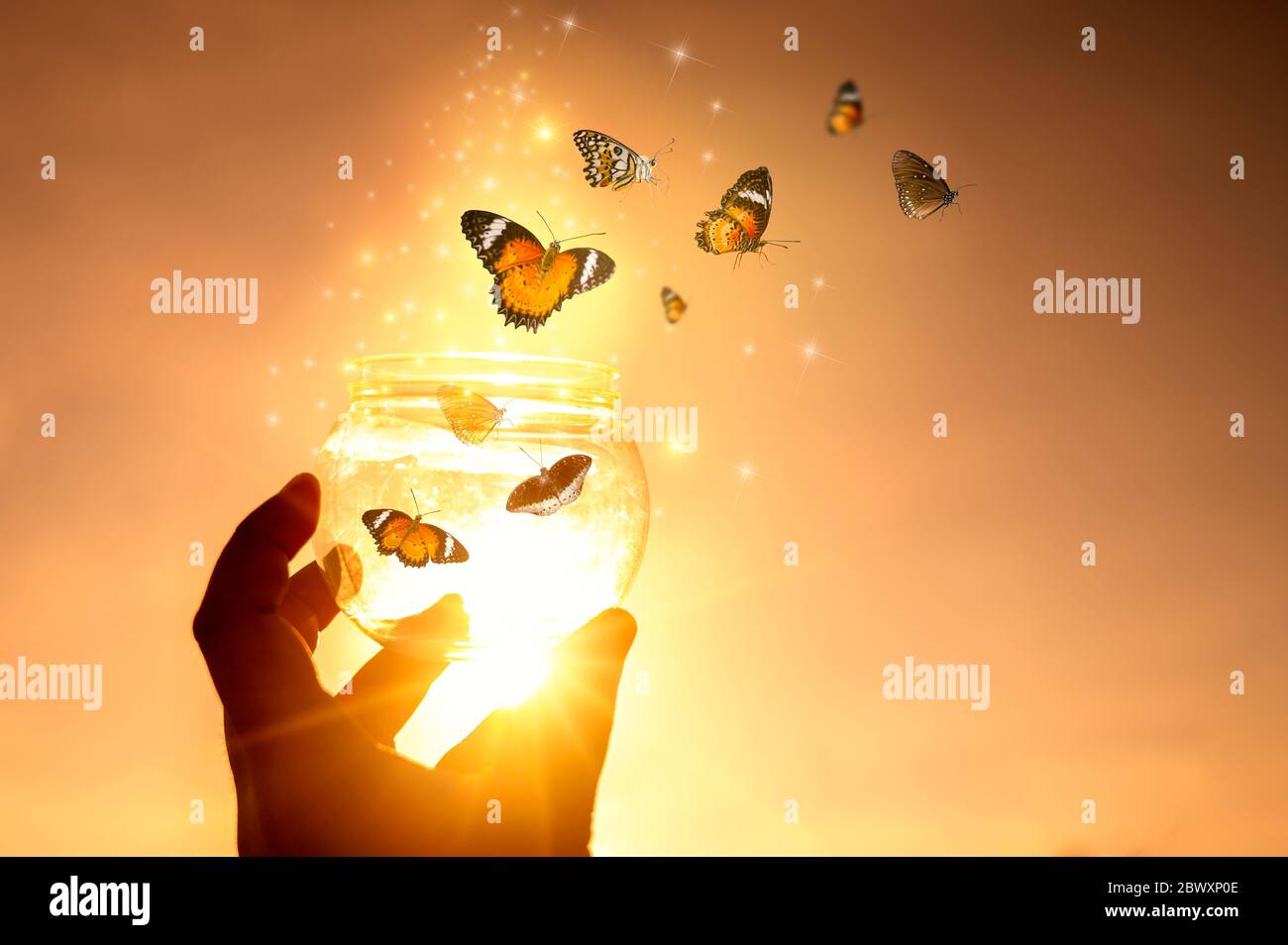 Das Mädchen befreit die Schmetterling aus dem Glas, golden Blue moment Begriff der Freiheit Stockfoto