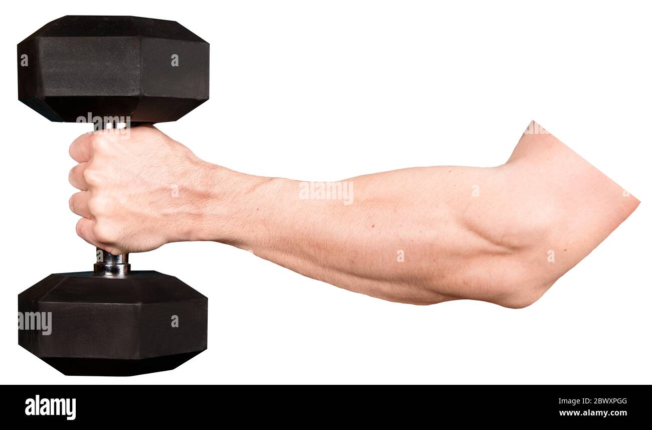 Mann Hand hält Hantel. Isoliert Stockfoto