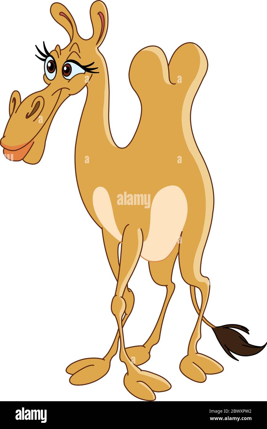 Kamelweibchen Stock Vektor