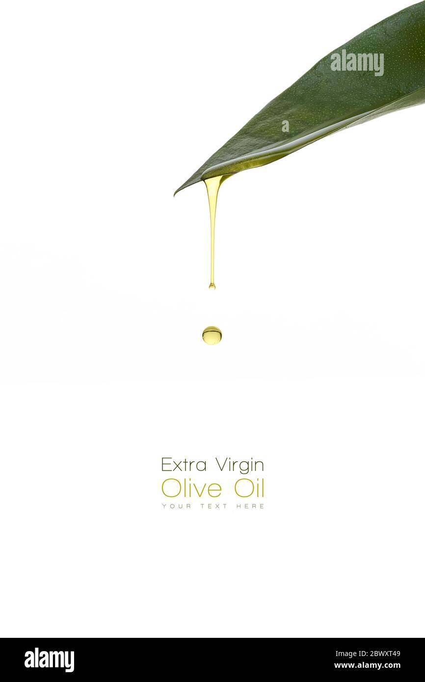 Olivenöl tropft aus einem frischen grünen Blatt. Wellness-Konzept. Vorlagendesign mit Beispieltext Stockfoto
