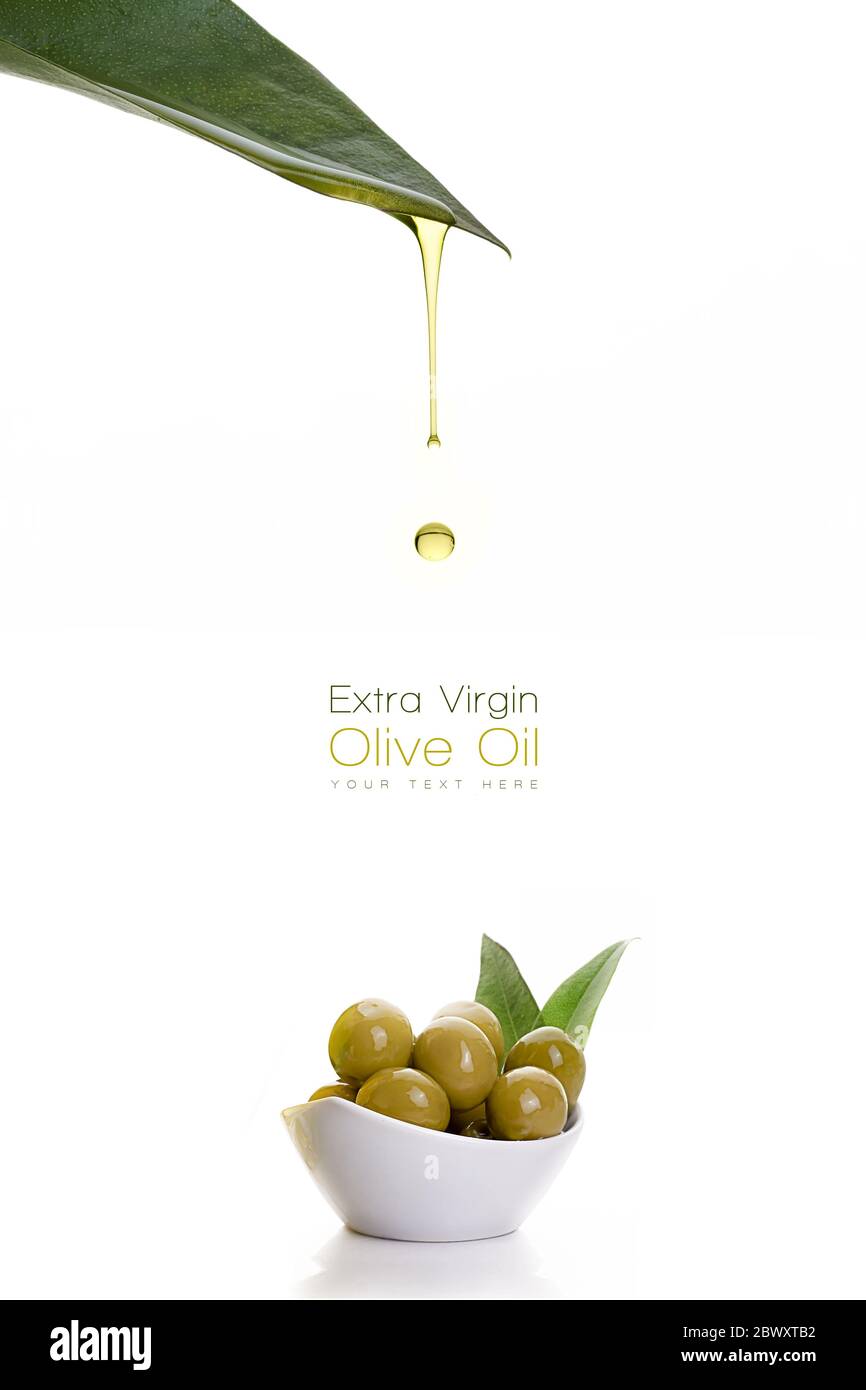 Gesundes natives Olivenöl, das von einem frischen grünen Blatt in eine kleine Schüssel mit Olivensamen tropft. Vorlagendesign isoliert auf Weiß mit Beispieltext Stockfoto
