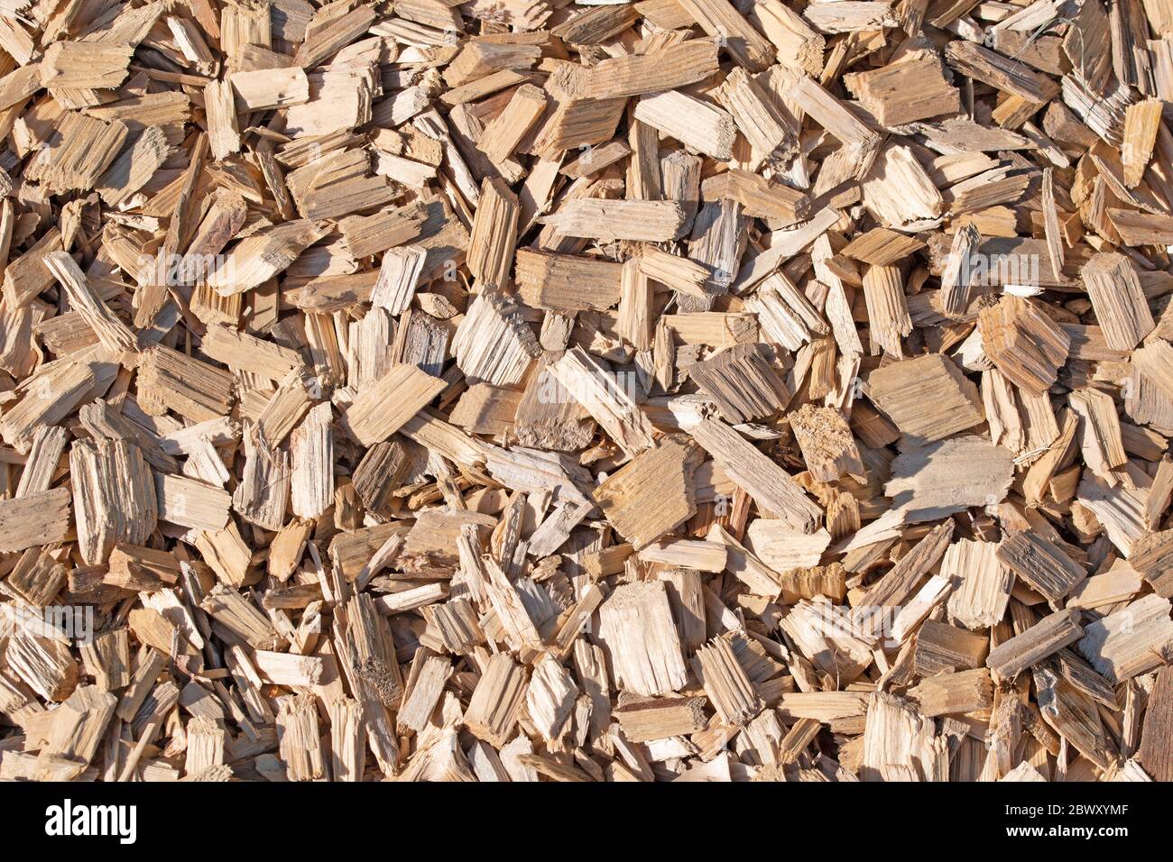 Holzspäne in einer Nahaufnahme Stockfoto