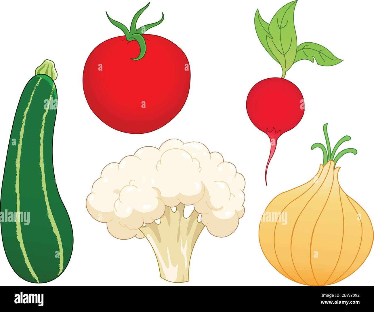 Gemüseset: Zucchini, Tomaten, Rettich, Zwiebel und Blumenkohl Stock Vektor