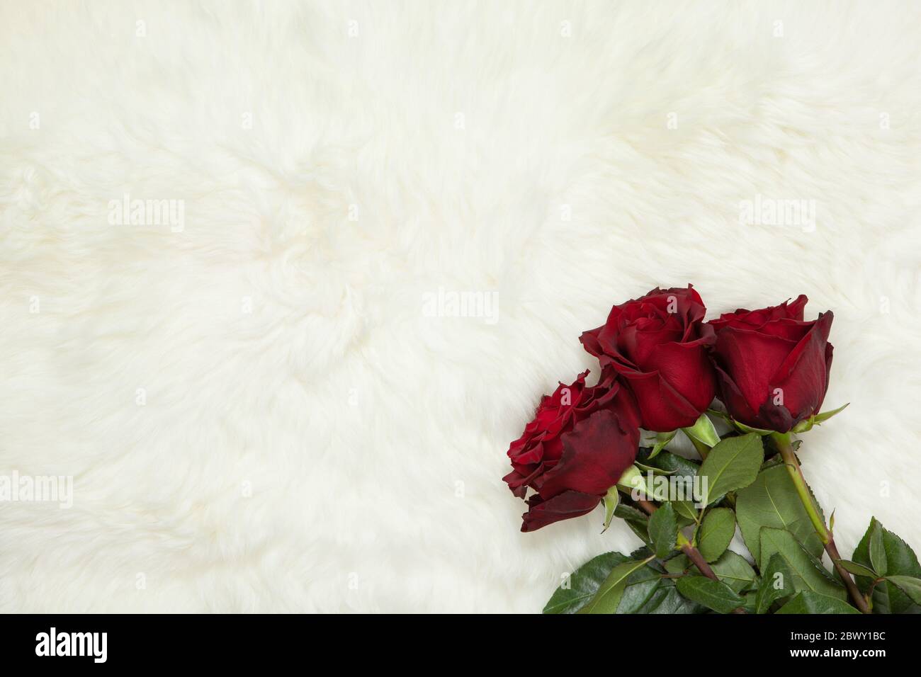 Geburtstagskarte Mit Rosen Stockfotos Und Bilder Kaufen Alamy