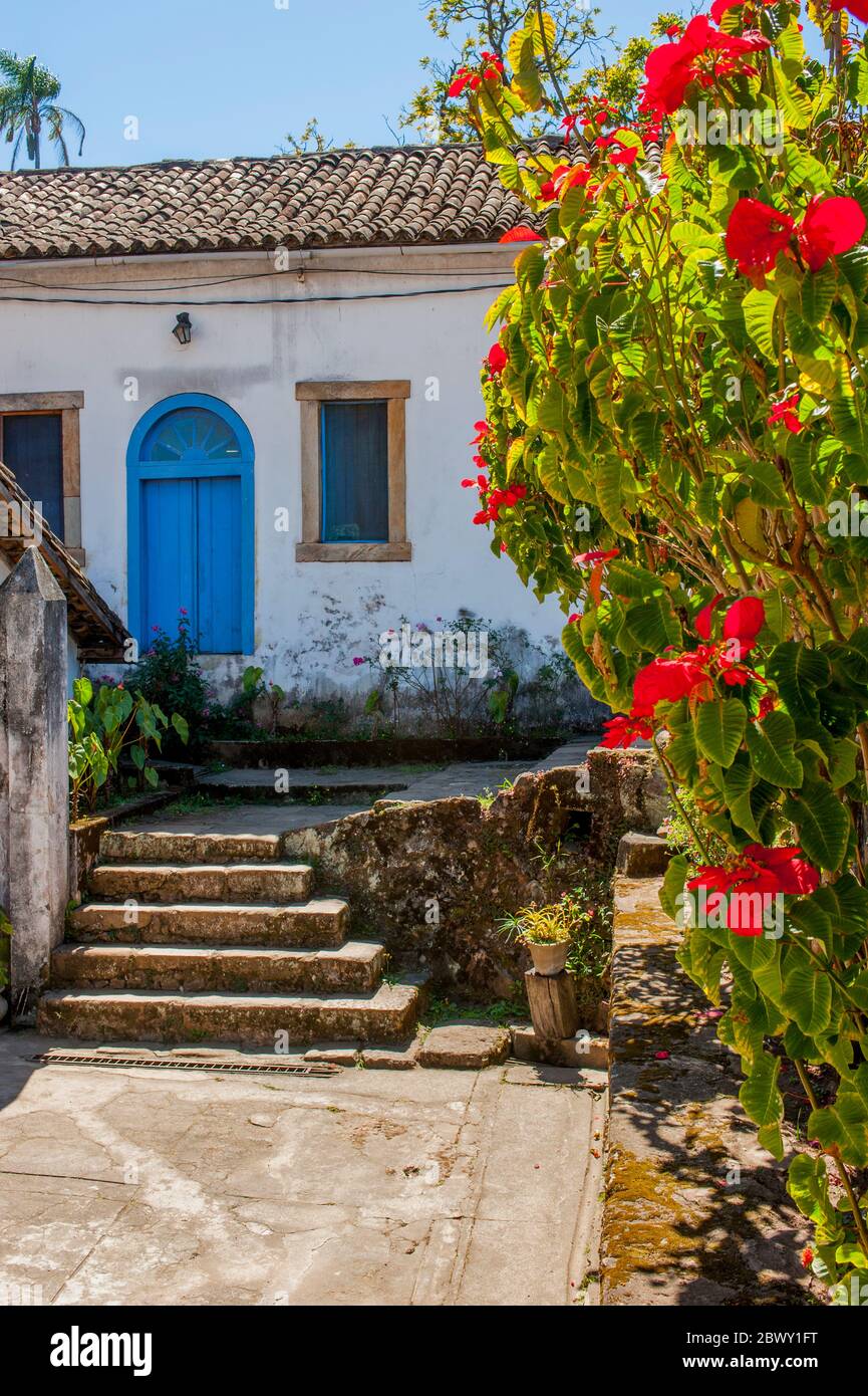 Ein Weihnachtsstern, der im Garten des Santuario de Nossa Senhora Mae dos Homens blüht, einem Seminar und einer Schule, die in ein pousada (Hotel) in Carac umgewandelt wurde Stockfoto