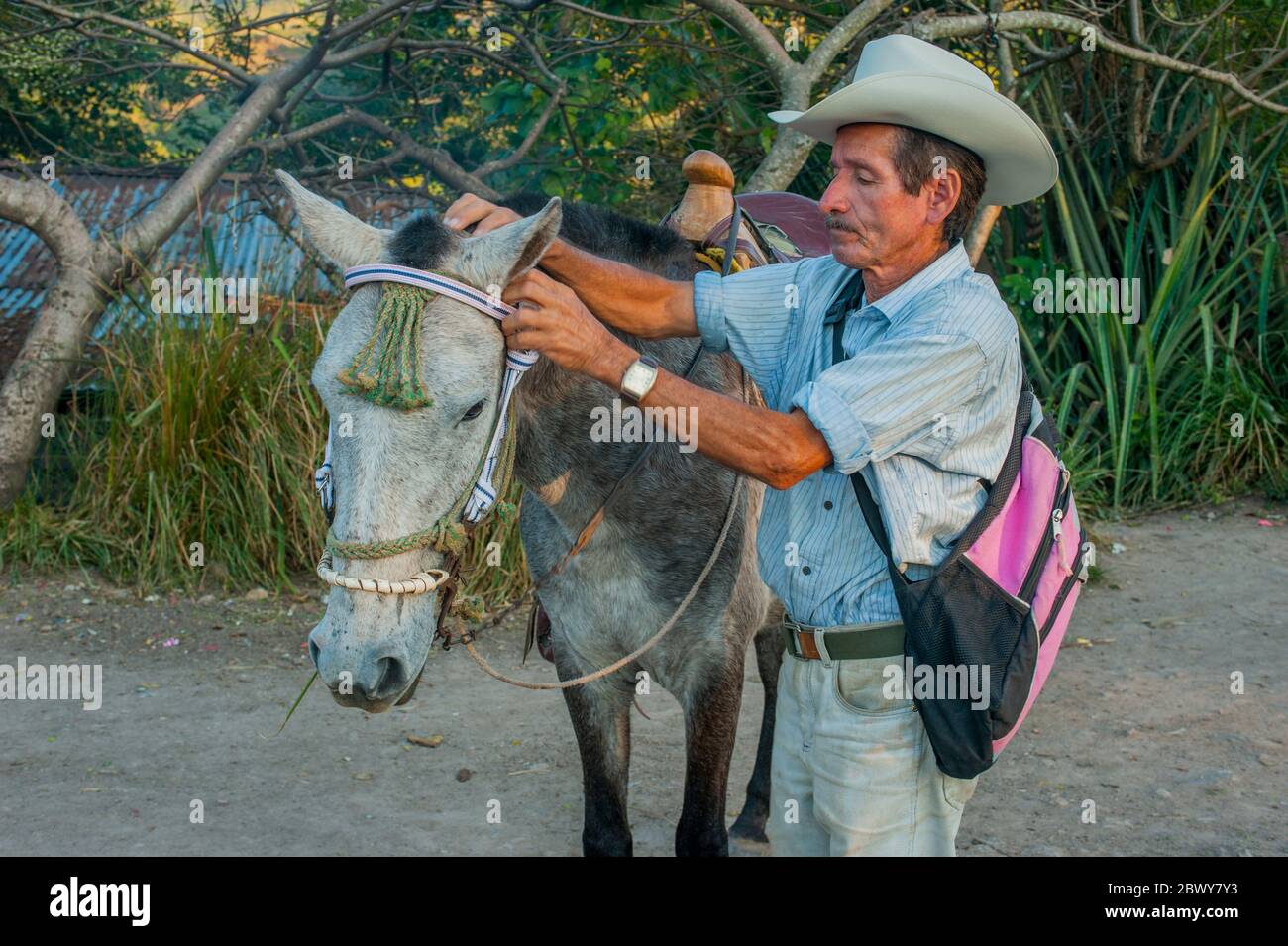 Mestizen Menschen Stockfotos Und Bilder Kaufen Alamy