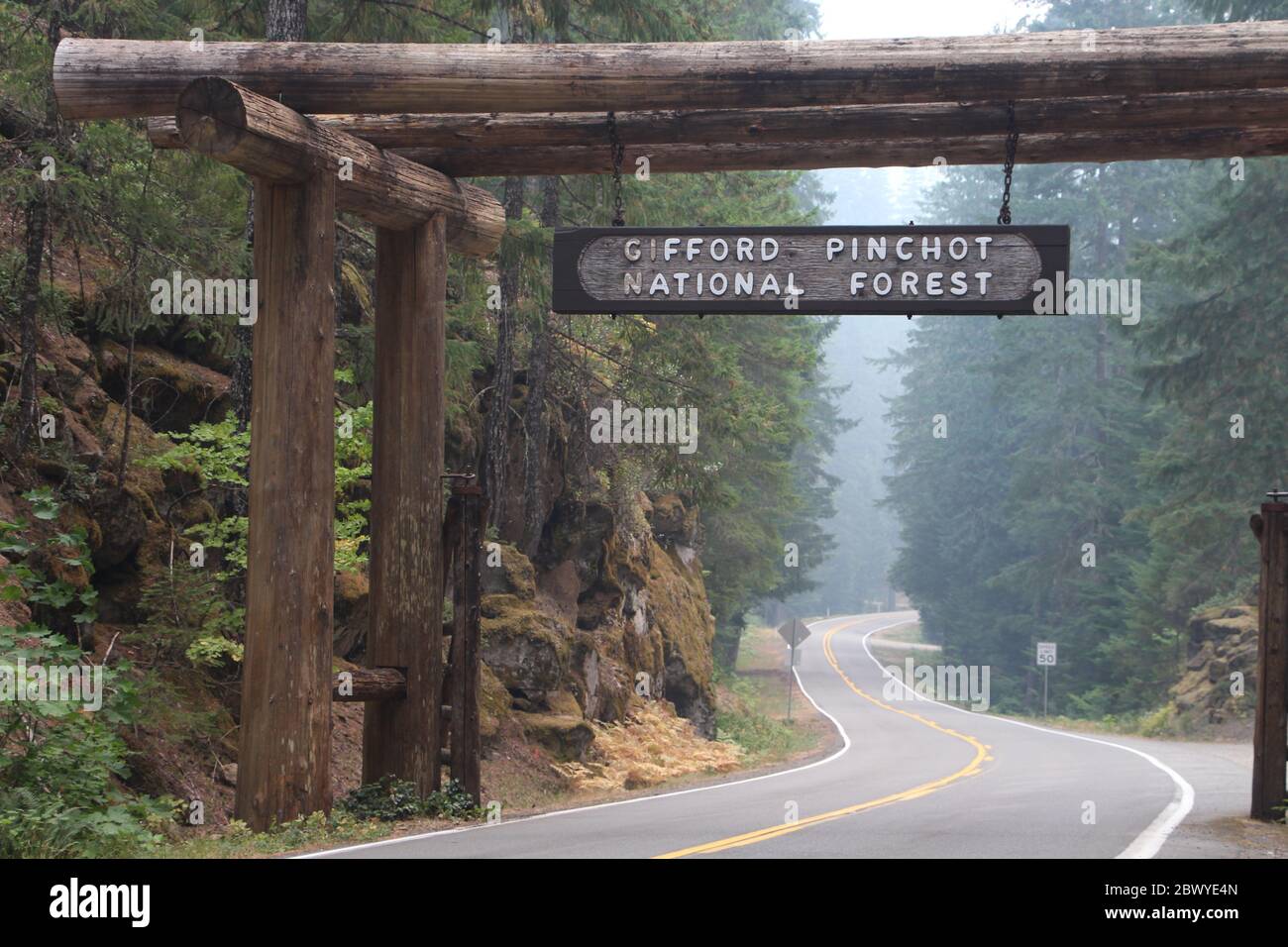 Abgebildet ist der Eintritt in den Gifford Pinchot National Forest in den Vereinigten Staaten. Stockfoto