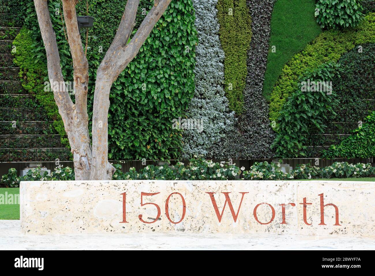 The Living Wall auf Worth Avenue, Palm Beach, Florida, USA, Nordamerika Stockfoto