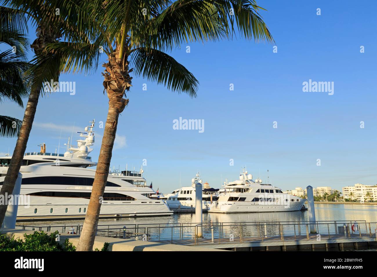 Palm Harbor Marina, West Palm Beach, Florida, USA, Nordamerika Stockfoto