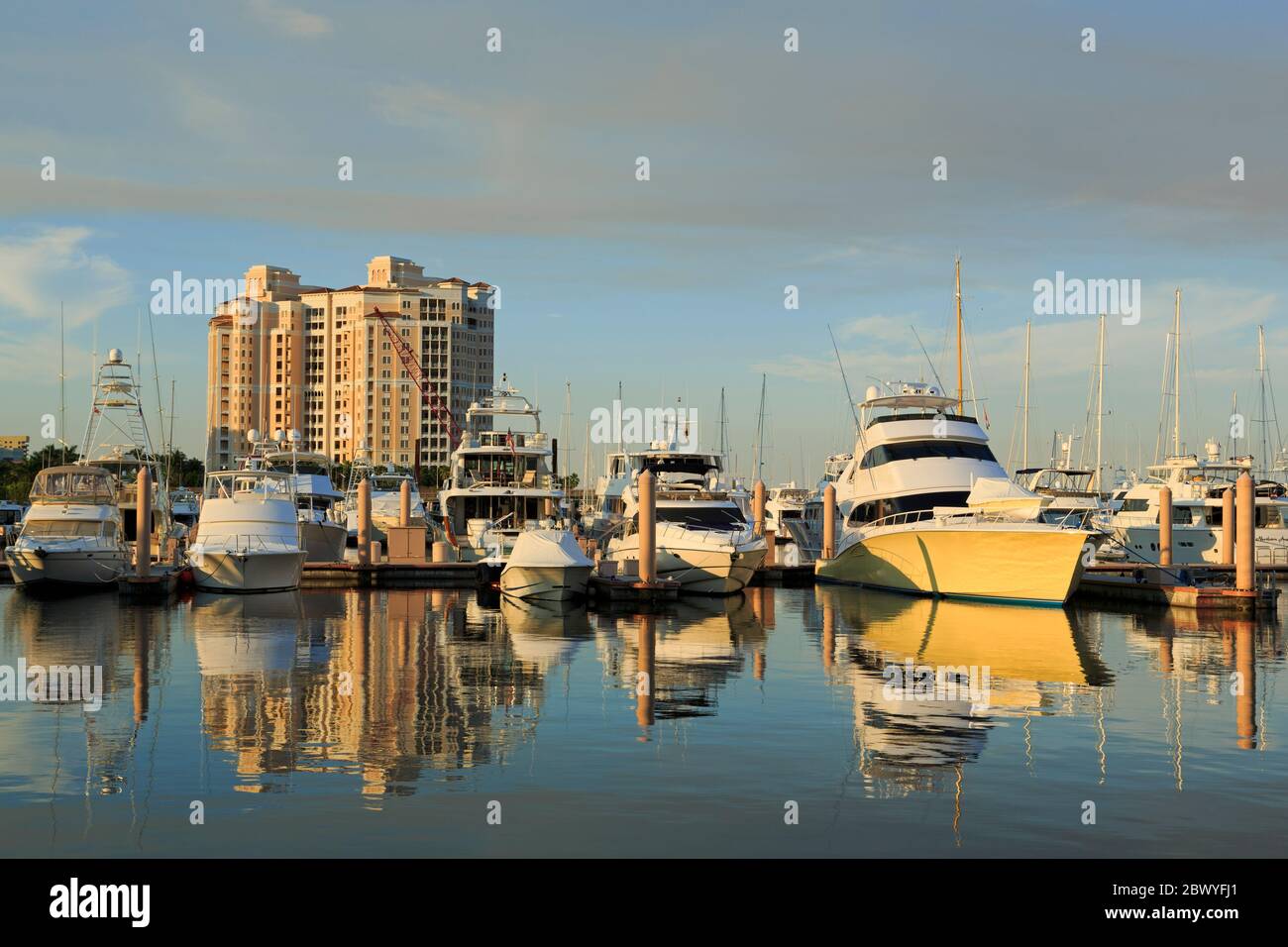 Palm Harbor Marina, West Palm Beach, Florida, USA, Nordamerika Stockfoto