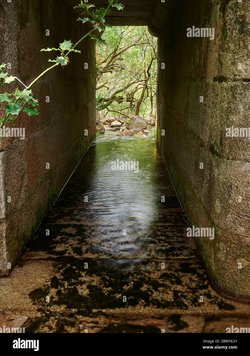 Flusslauf unter einer alten Tunnelbrücke mitten im Wald Stockfoto