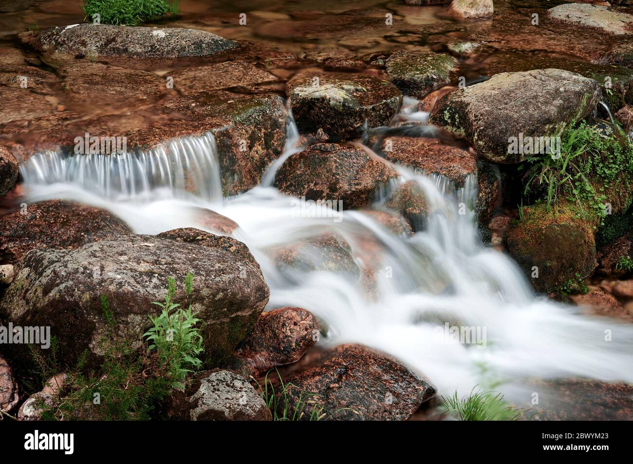 Wasserfall im Wald von Mata de Albergaria, gerês Stockfoto