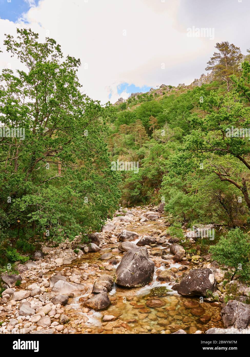 Flussbett voller Felsen im Tal der Berge Stockfoto