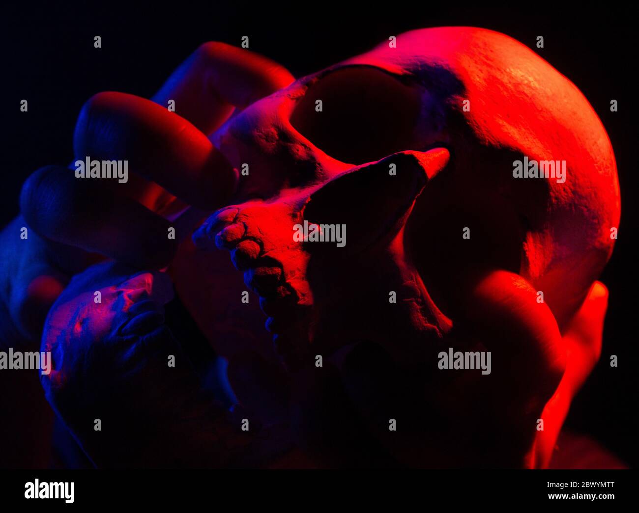 Foto von männlichen Händen mit menschlichen Schädel roten und blauen Highlights, Nahaufnahme. Stockfoto