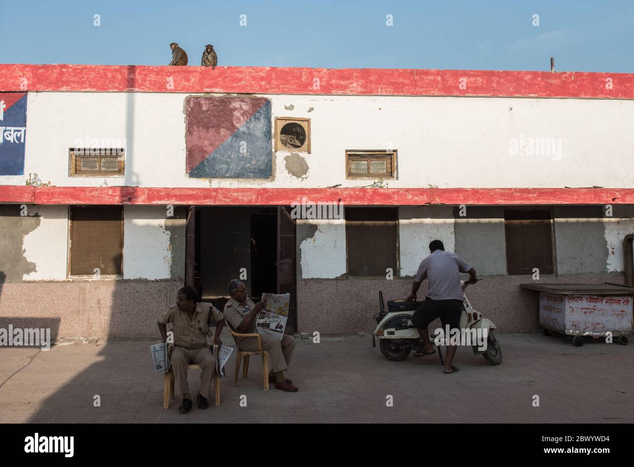 Makaken Affen am Bahnhof. Indien. Stockfoto