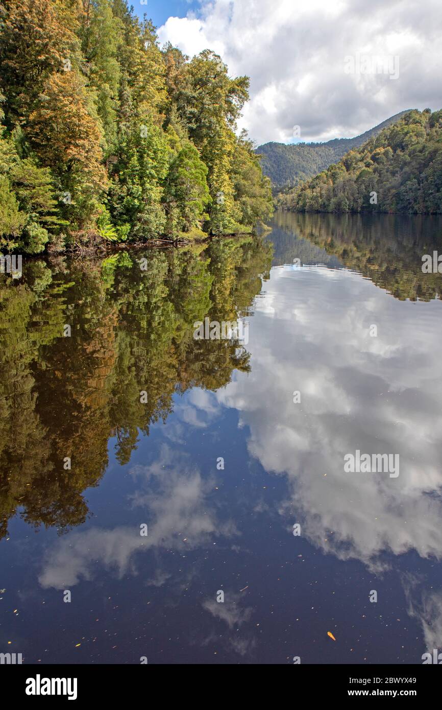 Reflexionen auf dem Gordon River Stockfoto