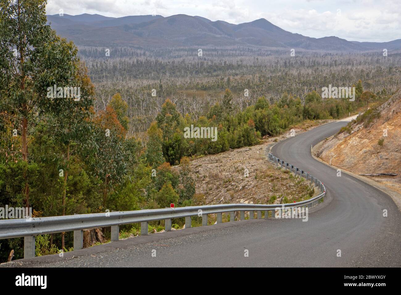 Die Western Explorer Road an der Westküste Tasmaniens Stockfoto