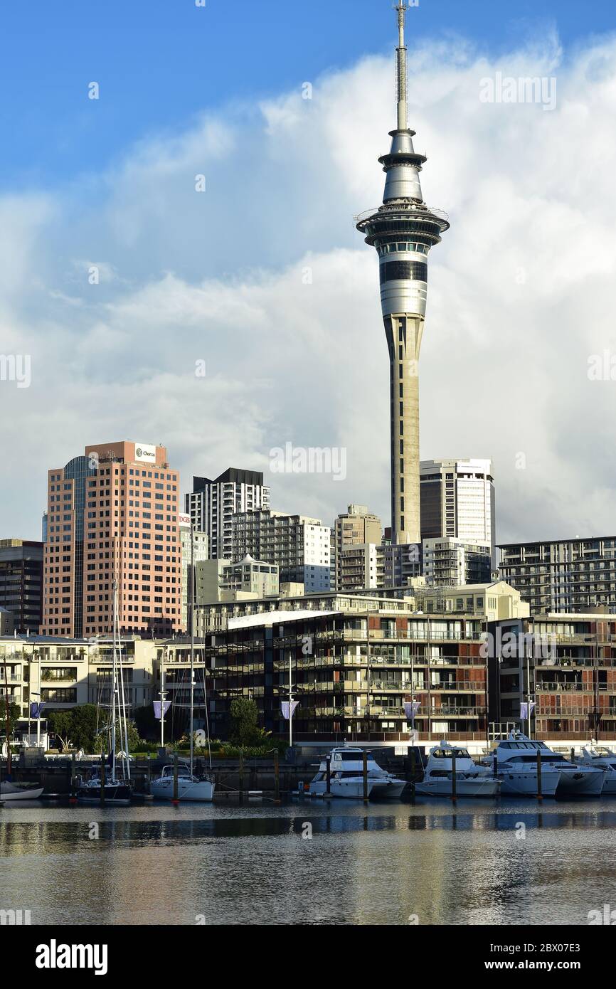 Hohe Gebäude im Geschäftsviertel von Auckland hinter Viaduct Basin mit Wahrzeichen des Sky Tower. Stockfoto