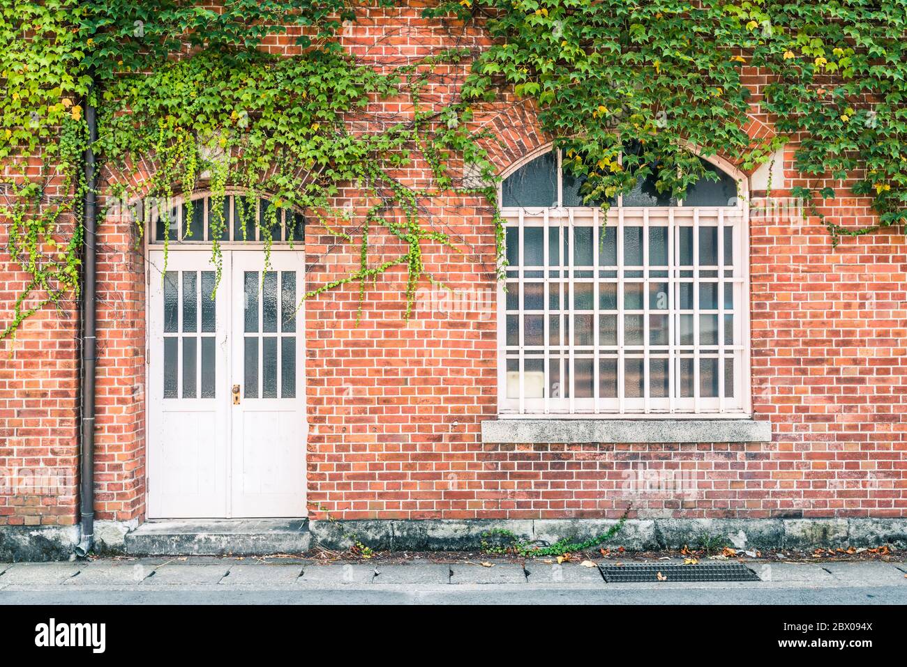 efeu an Backsteinwand mit Fenster und Tür Stockfoto