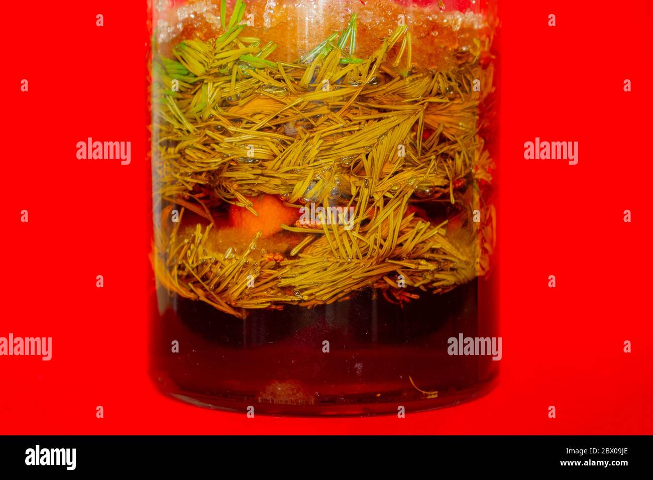 Glasgefäß mit Tannen- und Fichtensprossen und braunem Zucker, um natürlichen Hustensaft zu machen Stockfoto