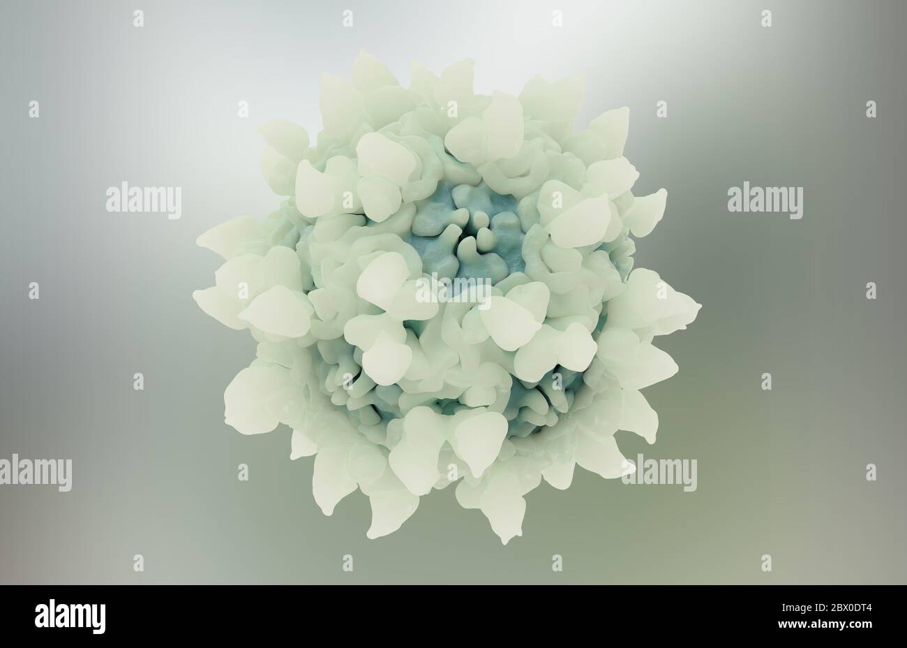 Parvovirus Parvoviridae isolierte 3Dschwimmende Illustration