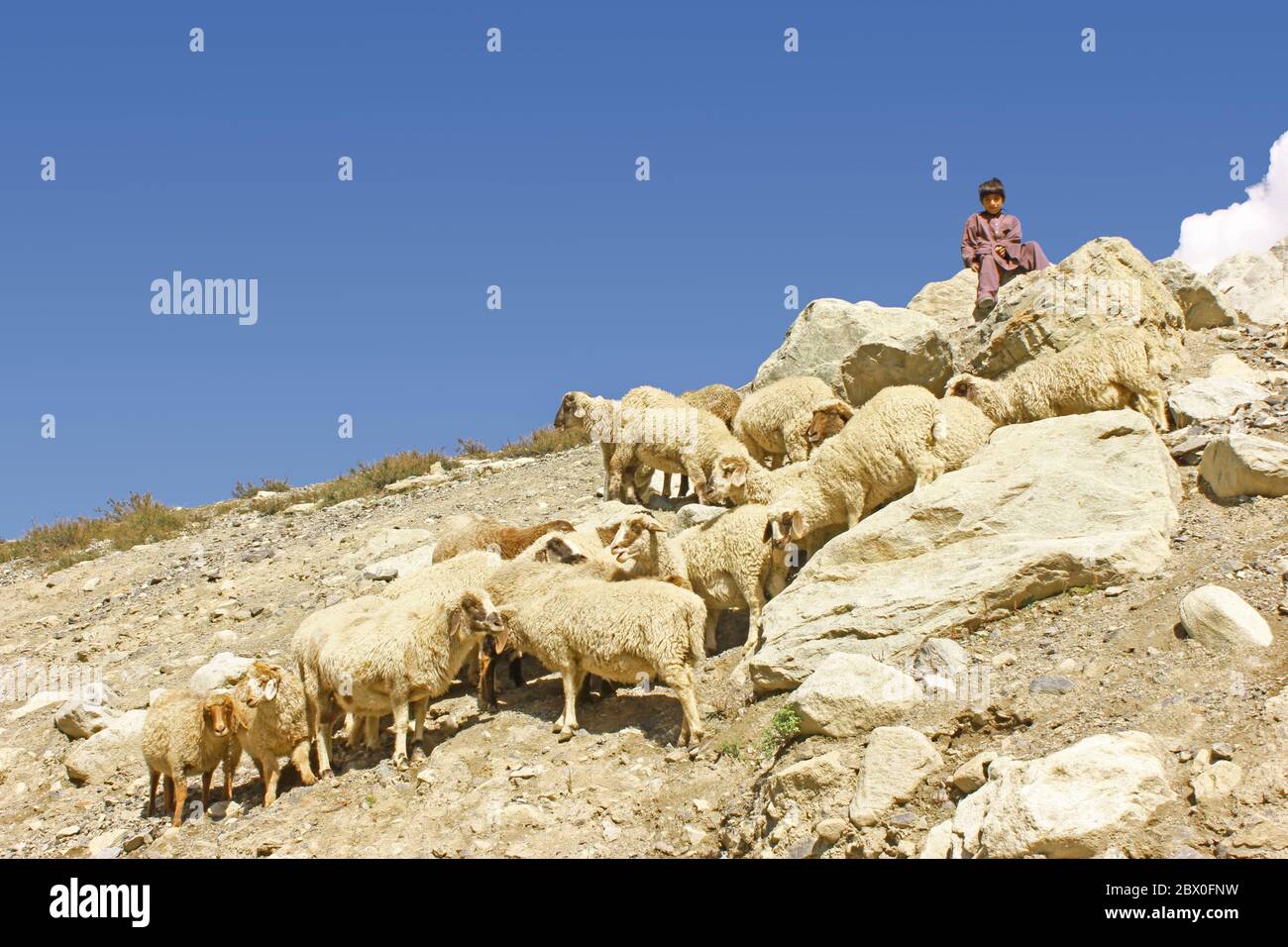 Kinderarbeit - Hirtenkind sitzt auf einem Felsen auf dem Berg in swat, KPK, Pakistan Stockfoto